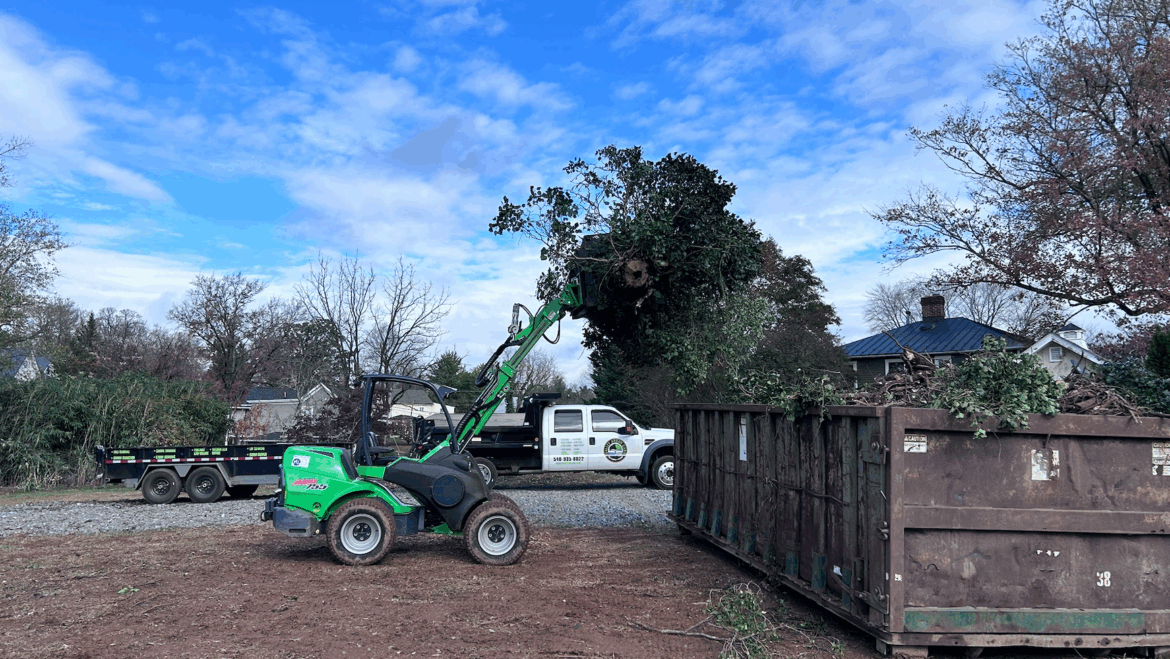 Mistakes to Avoid When Lot Clearing